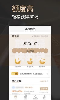 放款最快的贷款口子有哪些？如何快速申请？