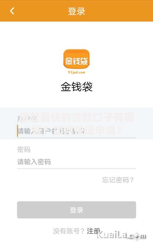 放款最快的贷款口子有哪些？如何快速申请？