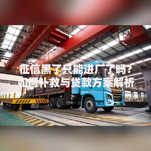 征信黑了只能进厂了吗？如何补救与贷款方案解析