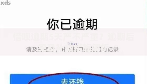 借呗逾期5天严不严重？逾期后果及补救措施解析