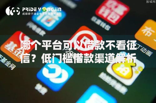 哪个平台可以借款不看征信？低门槛借款渠道解析
