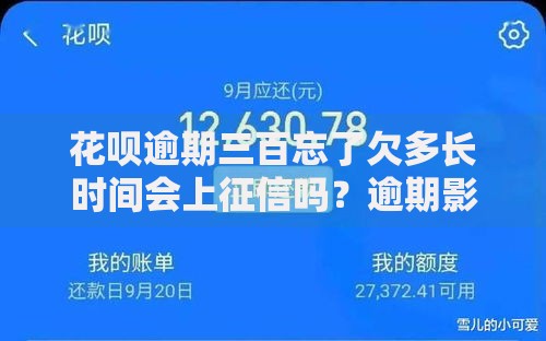 花呗逾期三百忘了欠多长时间会上征信吗？逾期影响解析
