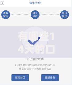 有哪些14天的口子？短期借款渠道解析与申请指南