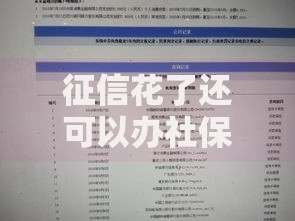 征信花了还可以办社保吗？贷款解决方案详解