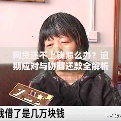 网贷还不上钱怎么办？逾期应对与协商还款全解析