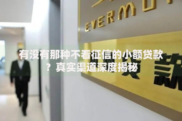 有没有那种不看征信的小额贷款？真实渠道深度揭秘