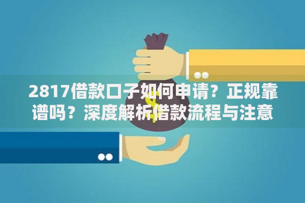 2817借款口子如何申请？正规靠谱吗？深度解析借款流程与注意事项