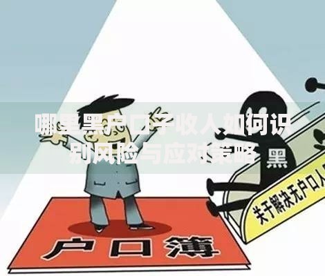 哪里黑户口子收人如何识别风险与应对策略