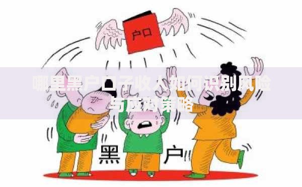 哪里黑户口子收人如何识别风险与应对策略
