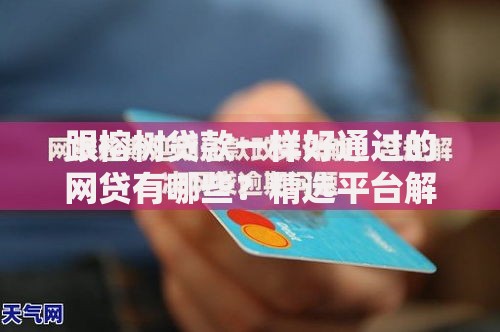 跟榕树贷款一样好通过的网贷有哪些？精选平台解析