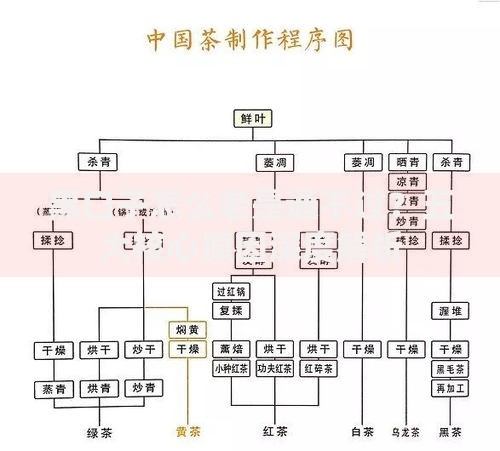 黑口子怎么老是通不过？五大核心原因深度解析