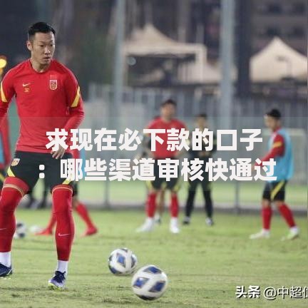 求现在必下款的口子：哪些渠道审核快通过率高？