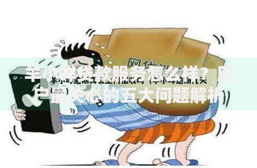 羊小咩贷款服务怎么样？用户最关心的五大问题解析