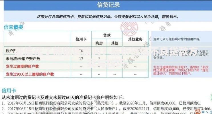 征信花了能做贷款吗？解析征信不良贷款方案与技巧