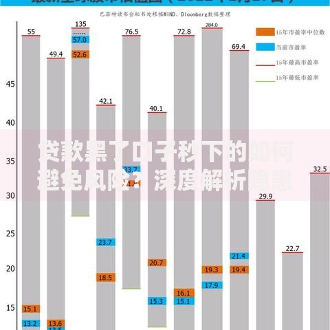 贷款黑了口子秒下的如何避免风险？深度解析隐患与应对方案