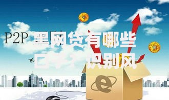 黑网贷有哪些口子？识别风险与防范指南