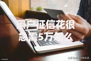 黑户征信花很急需5万怎么办？解决方案与实用贷款渠道推荐