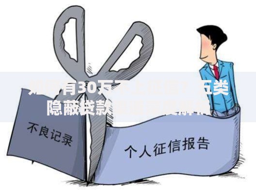 如何有30万不上征信？五类隐蔽贷款渠道深度解析