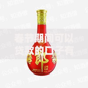 春节期间可以贷款的口子有哪些？正规渠道与申请流程解析