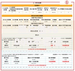 黑户借50000不看征信秒下款2025如何申请？安全风险深度解析