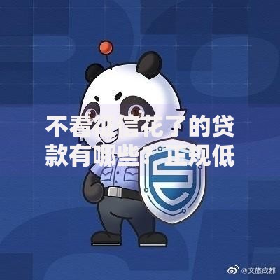 不看征信花了的贷款有哪些？正规低息渠道深度解析