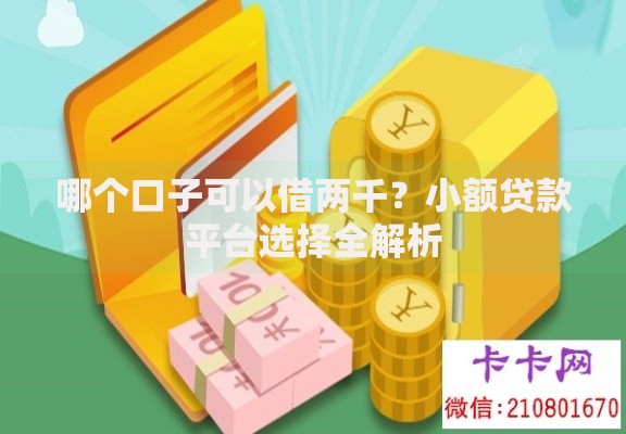 哪个口子可以借两千？小额贷款平台选择全解析