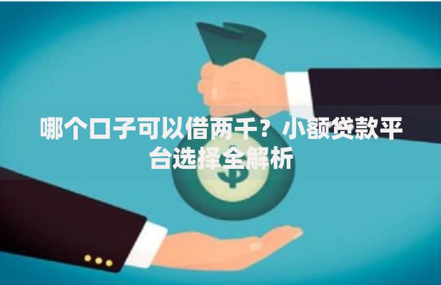 哪个口子可以借两千？小额贷款平台选择全解析