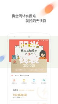 阳光钱袋是哪里的口子？正规背景与贷款资质解析