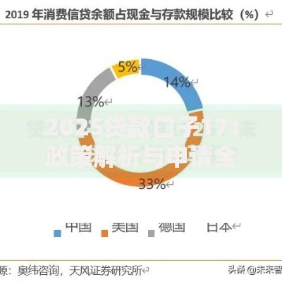 2025贷款口子17：政策解析与申请全攻略