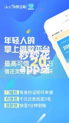 秒秒花app贷款口子：正规可靠吗？审核流程全解析