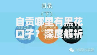自贡哪里有黑花口子？深度解析民间借贷风险与正规渠道