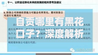 自贡哪里有黑花口子？深度解析民间借贷风险与正规渠道
