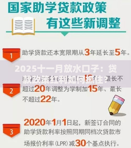 2025十一月放水口子：贷款政策红利如何抓住？