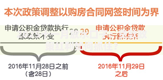 2025十一月放水口子：贷款政策红利如何抓住？