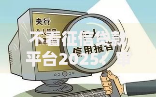不看征信贷款平台2025：审核机制与风险深度解析