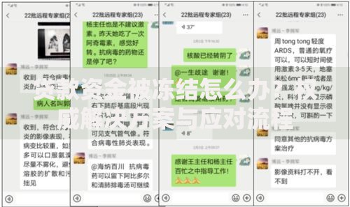 贷款资金被冻结怎么办？权威解决方案与应对流程