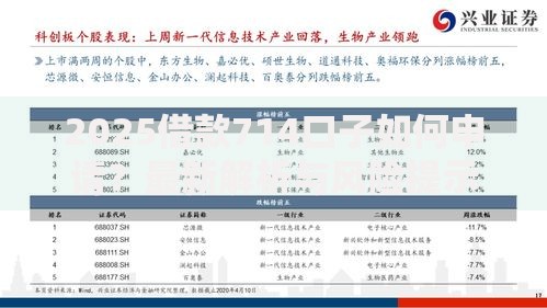 2025借款714口子如何申请？最新解析与风险提示