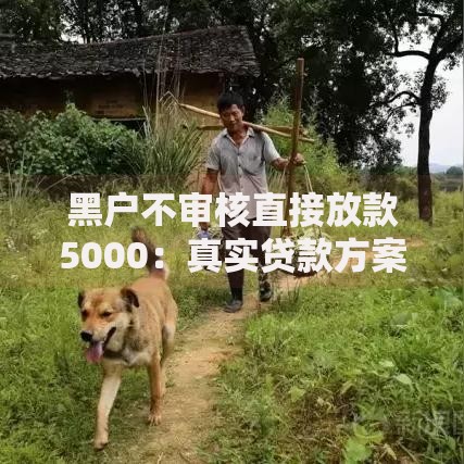 黑户不审核直接放款5000：真实贷款方案解析