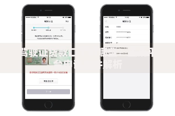 驾驶证贷款口子有哪些？正规平台申请条件解析