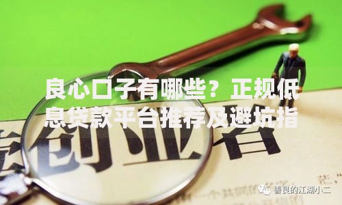 良心口子有哪些？正规低息贷款平台推荐及避坑指南