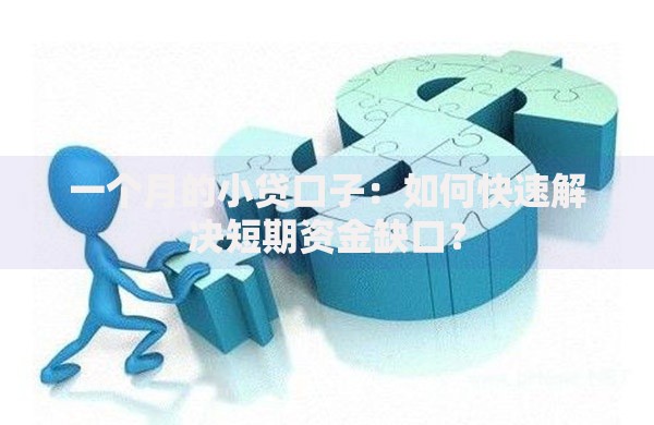一个月的小贷口子:如何快速解决短期资金缺口? 一个月的小贷口子:如何快速解决短期资金缺口?