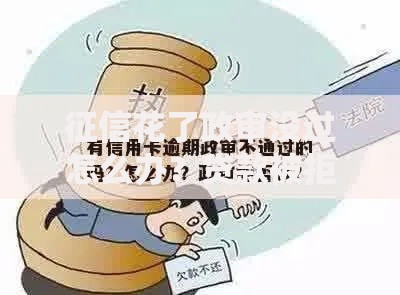 征信花了政审没过怎么办?贷款被拒应对方案解析 征信花了政审没过怎么办?贷款被拒应对方案解析