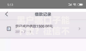 黑户哪口子能下款?征信不良贷款渠道深度解析 黑户哪口子能下款?征信不良贷款渠道深度解析