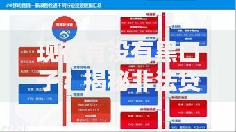 现在有没有黑口子?揭秘非法贷款渠道识别与防范指南 现在有没有黑口子?揭秘非法贷款渠道识别与防范指南