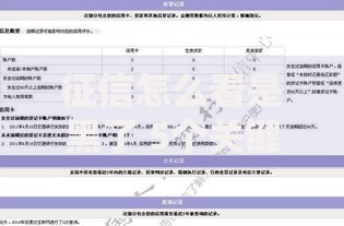 征信怎么看是黑了 5个关键信号与修复指南 征信怎么看是黑了 5个关键信号与修复指南