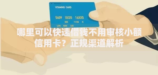 哪里可以快速借钱不用审核小额信用卡？正规渠道解析