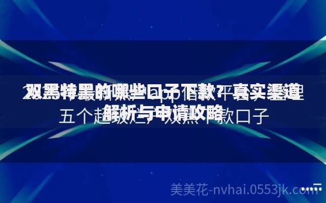双黑特黑的哪些口子下款?真实渠道解析与申请攻略 双黑特黑的哪些口子下款?真实渠道解析与申请攻略