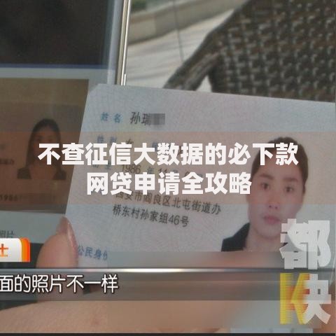 不查征信大数据的必下款网贷申请全攻略