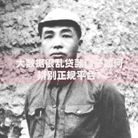 大数据很乱贷款口子如何辨别正规平台？