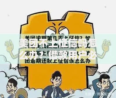 美团不上征信吗怎么办？借款用户必知应对策略
